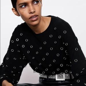Zara Metal Appliqué Sweater